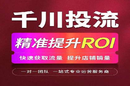 百度广告投放策略：成功案例解析